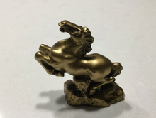 Load image into Gallery viewer, Animal Horoscope (Bronze coloured)