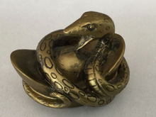 Load image into Gallery viewer, Animal Horoscope (Bronze coloured)