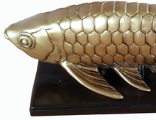 Load image into Gallery viewer, Arowana