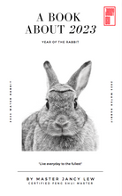 Load image into Gallery viewer, A Book About 2023 by Master Jancy Lew (eBook version)
