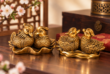 Load image into Gallery viewer, Mandarin Duck Pair – Love &amp; Harmony