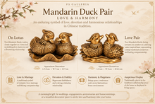 Load image into Gallery viewer, Mandarin Duck Pair – Love &amp; Harmony