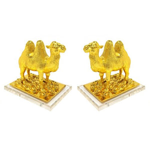 A Pair of Golden Camel