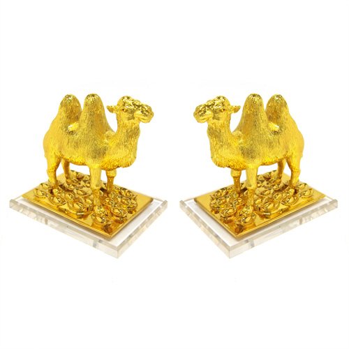 A Pair of Golden Camel