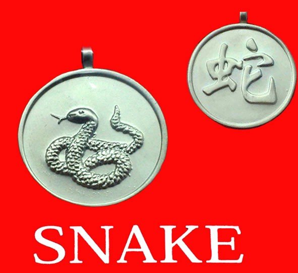 SNAKE COIN PENDANT